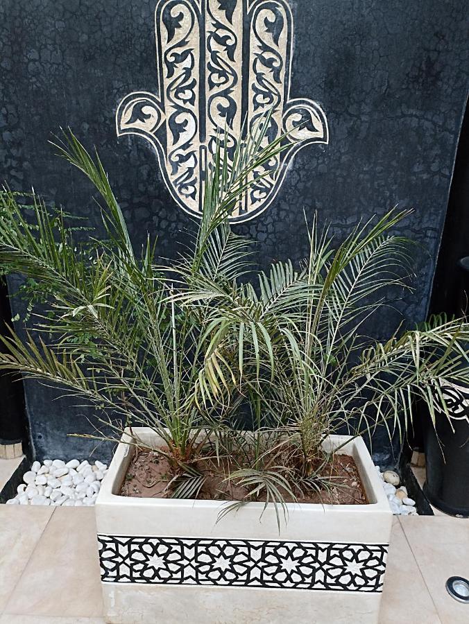 Riad Excellence Marrakesh Bagian luar foto